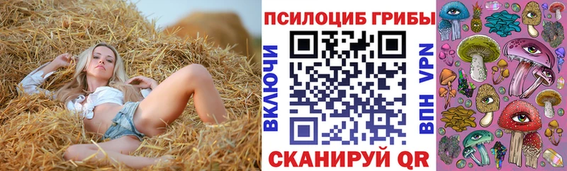Галлюциногенные грибы Magic Shrooms  кракен ссылки  Инза  купить  